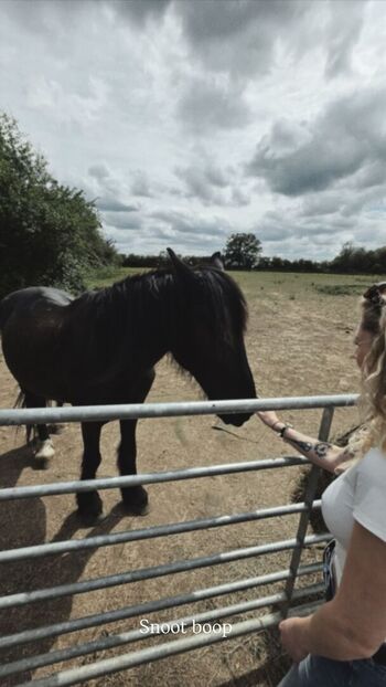 Full leaked Janet devlin page private onlyfans photo