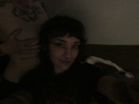kittens0ft