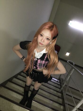 Stella