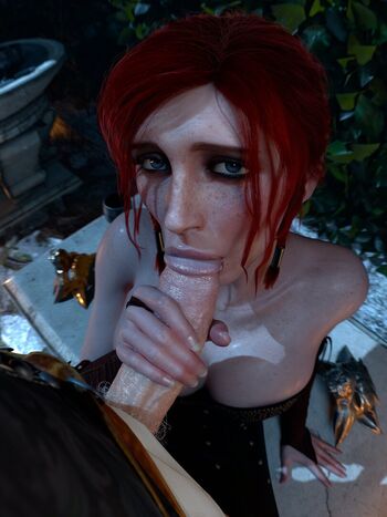 The Witcher